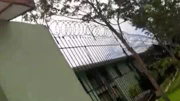 Foto: Reprodução / Vídeo