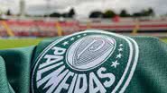 Reprodução// Instagram @palmeiras
