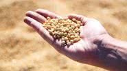 Imagem Exportações do agro abrem o ano com novo recorde em estado brasileiro