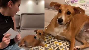 Reprodução/TikTok @mirelazm1