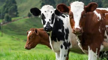 Reprodução/Unsplash