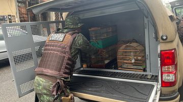 Divulgação/Polícia Militar