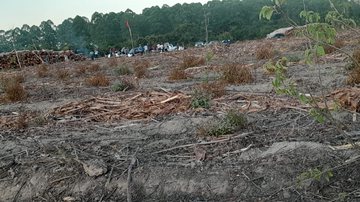 Foto do Leitor/BNews