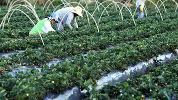 Valter Campanato / Agência Brasil