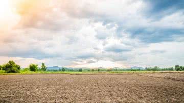 Divulgação / Freepik