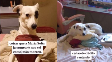 Reprodução/ Redes sociais