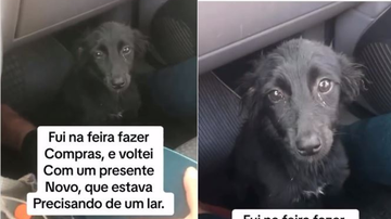 Reprodução/ Redes sociais