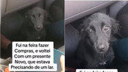 Reprodução/ Redes sociais