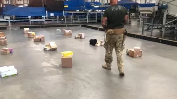 Divulgação/Polícia Civil