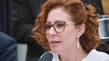 Paulo Sérgio / Câmara dos Deputados