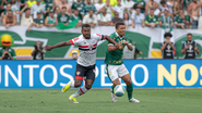 Divulgação/CBF