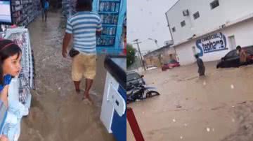 Reprodução//Vídeo