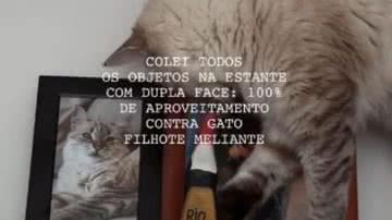 Reprodução// TikTok @cadallepiane