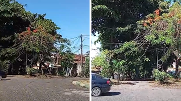 Reprodução/BNews