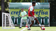 Cesar Greco/Palmeiras