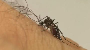 Foto: Divulgação / Fiocruz