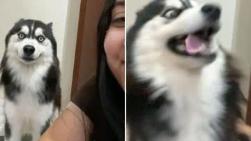 Reprodução / Redes Sociais