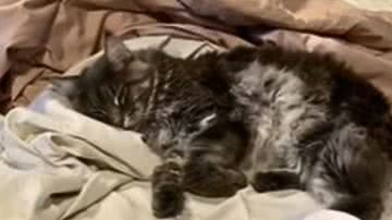 Reprodução / Redes Sociais