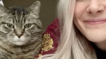 Reprodução / Redes Sociais