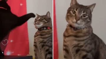 Reprodução / Redes Sociais