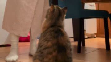 Reprodução / Redes Sociais