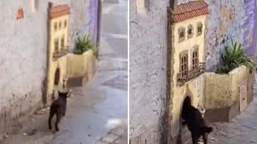 Reprodução / Redes Sociais