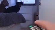 Reprodução / Redes Sociais