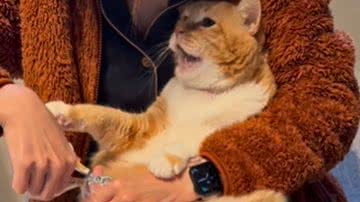 Reprodução / Redes Sociais