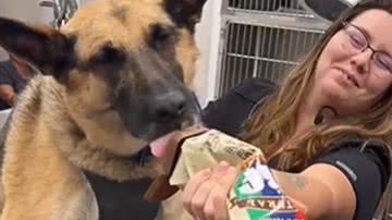 Reprodução / Redes sociais