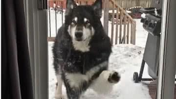 Reprodução / Redes sociais