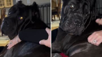 Reprodução / Redes sociais