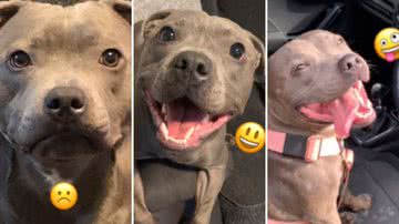 Reprodução / Redes Sociais