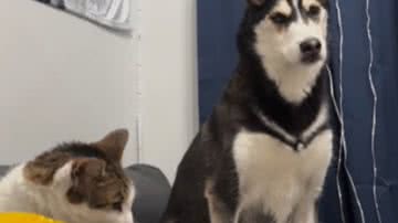 Reprodução / Redes Sociais