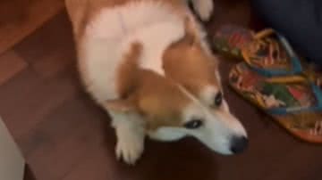 Reprodução / Redes Sociais