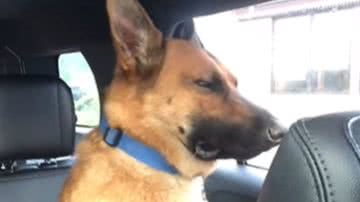 Reprodução / Redes Sociais