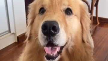 Reprodução / Redes Sociais