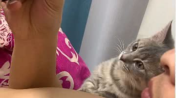 Reprodução / Redes sociais