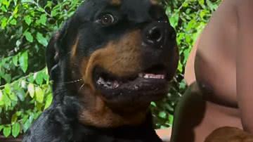 Reprodução / Redes sociais