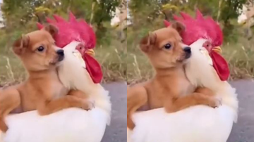 Reprodução/ Redes sociais