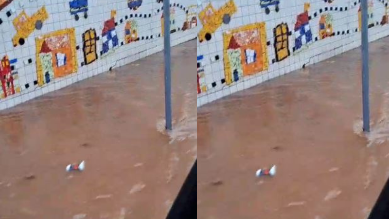 Reprodução: Leitor BNews