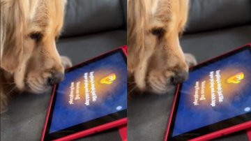 Reprodução/ Redes sociais