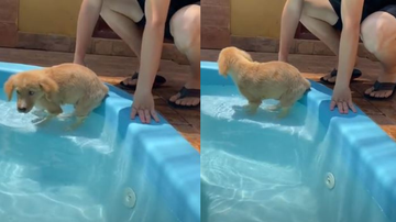 Reprodução/ Redes sociais