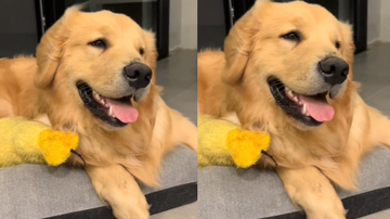 Reprodução/Redes sociais