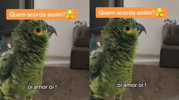 Reprodução/Redes sociais