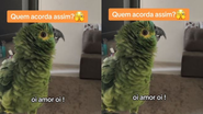 Reprodução/Redes sociais