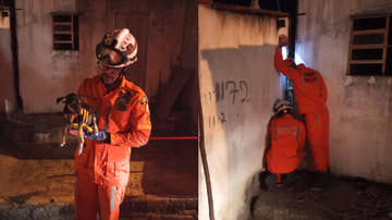 Divulgação/ Corpo de Bombeiros