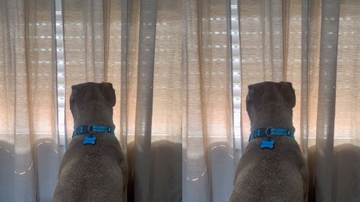 Reprodução/ Redes sociais