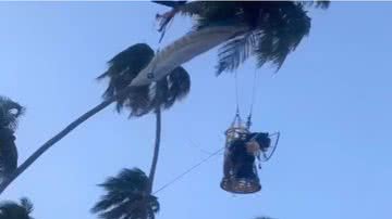 Reprodução/Redes Sociais