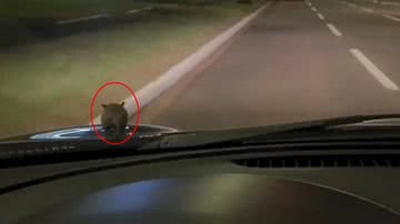 Reprodução/Instagram (@belelireis_)