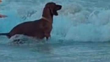 Reprodução/RedesSociais